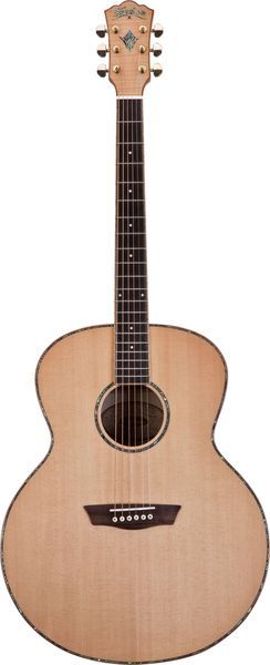 Фото WASHBURN WMJ40S