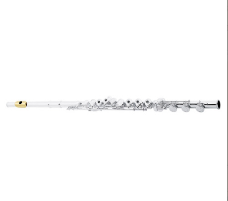 Флейта C ARMSTRONG 800 CUSTOM в магазине Music-Hummer