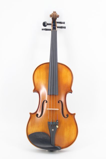 Скрипка Livingstone L-V220 4/4 в магазине Music-Hummer