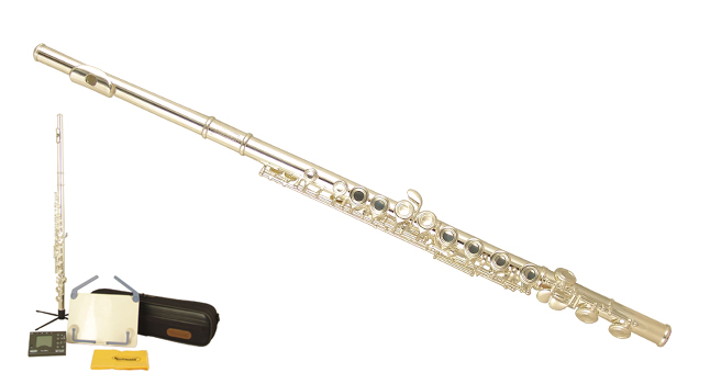 Комплект Флейта WISEMANN 0901FL в магазине Music-Hummer