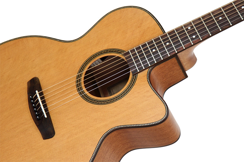 Акустическая гитара Dowina Rustica JC в магазине Music-Hummer