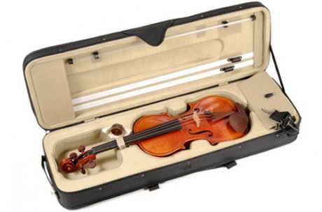 Скрипка DOWINA Belcanto Violin BCV в магазине Music-Hummer