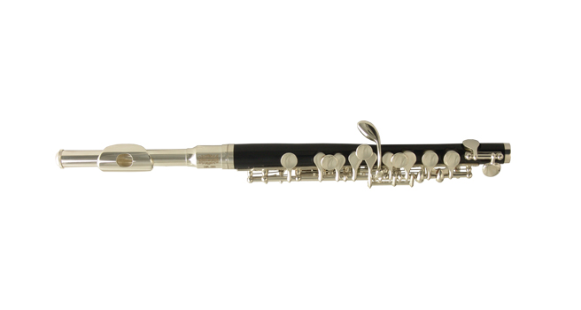 Флейта пикколо WISEMANN DPL-200 в магазине Music-Hummer