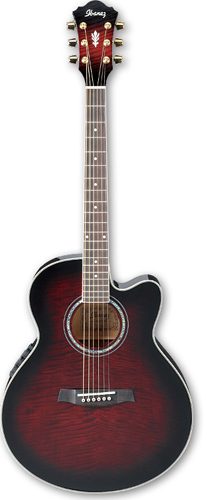 Акустическая гитара Ibanez AEL20E-TCS в магазине Music-Hummer