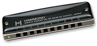 Губная гармошка Hammond Promaster Suzuki HA-20 в магазине Music-Hummer