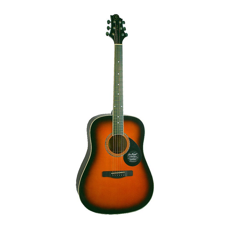 Акустическая гитара GREG BENNETT GD100S/VS в магазине Music-Hummer