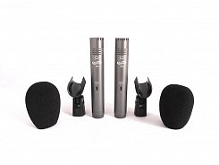 PRO2XA1 A1 Duo Микрофон конденсаторный, стереопара, Prodipe
