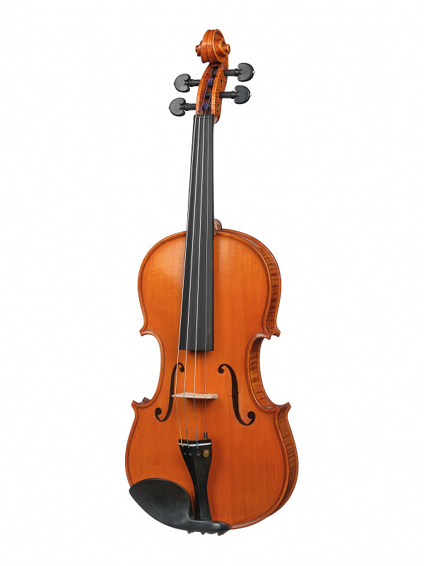 Скрипка Gliga PS-V044 Professional Gama Super в магазине Music-Hummer