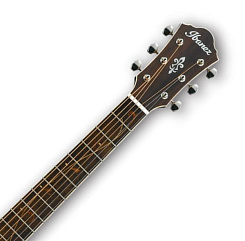 IBANEZ AE205JR-OPN