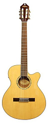 WASHBURN EACT12B