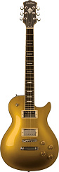 WASHBURN WINSTD G