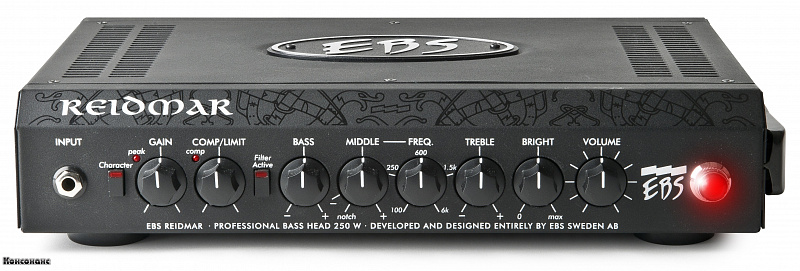EBS Reidmar 250  Усилитель для бас гитары  в магазине Music-Hummer