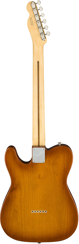 Fender American Performer Telecaster® RW, Honey Burst в магазине Music-Hummer