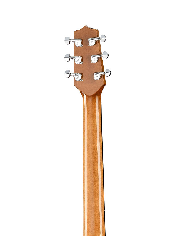 Акустическая гитара Hora W11304 Segada SM50 в магазине Music-Hummer