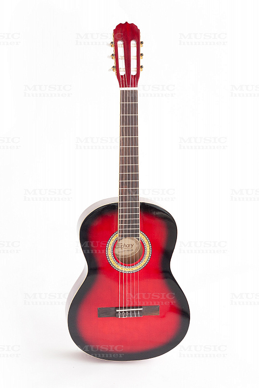Классическая гитара Euphony EC100 в магазине Music-Hummer