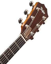 TAYLOR 414ce 400 Series