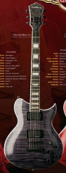 Washburn WI320PROFTB