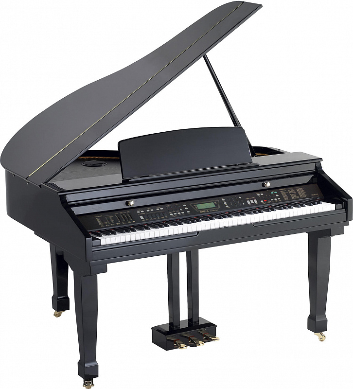 Orla Grand 310 Black Цифровой рояль в магазине Music-Hummer