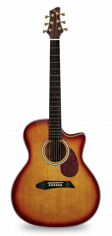 Акустическая гитара NG AM411SC Peach в магазине Music-Hummer