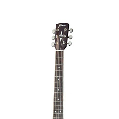 Framus FD 14 M NS CE