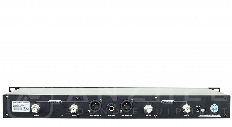 Радиосистема Anzhee RS500 dual BB в магазине Music-Hummer