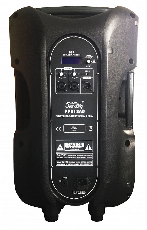 Акустическая система, активная Soundking FPD12AD в магазине Music-Hummer