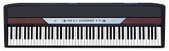 Цифровое пианино KORG SP-250 BK