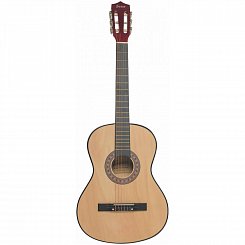 Классическая гитара TERRIS TC-3801A NA