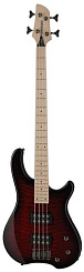 Fernandes T4X(08)BCS