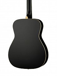 Акустическая гитара Parkwood PF51-WBAG-BKS