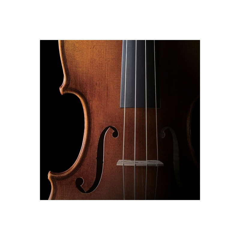 Скрипка 1/4 Pearl River PR-V01 1/4 в магазине Music-Hummer