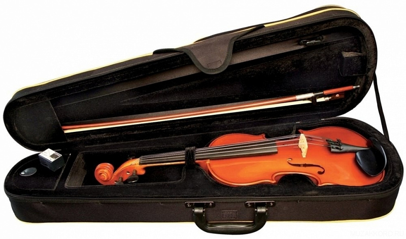 GEWA Violin Outfit Allegro 1/16 в магазине Music-Hummer