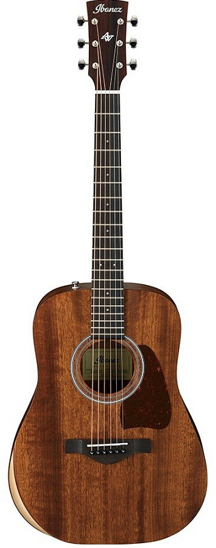 Фото Ibanez AW54JR-OPN