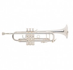 Труба Bb BACH 180S37 Stradivarius