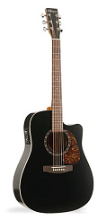 Norman B18(6) CW Cedar Black Classic 4 28054