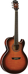 WASHBURN EA15-ATB