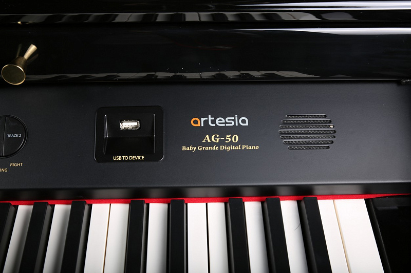 Artesia AG-50 в магазине Music-Hummer