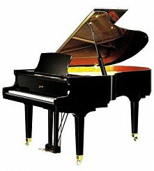 Рояль Ritmuller R8 с системой PianoDisc