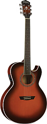 WASHBURN EA14-ATB