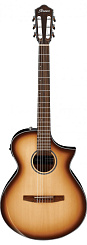 IBANEZ AEWC300N-NNB AEWC