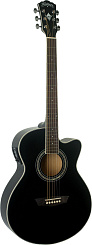 WASHBURN EA12-B