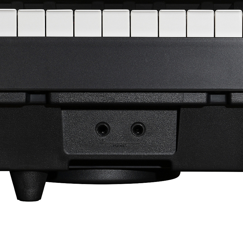 Цифровое фортепиано EMILY PIANO D-20 BK в магазине Music-Hummer