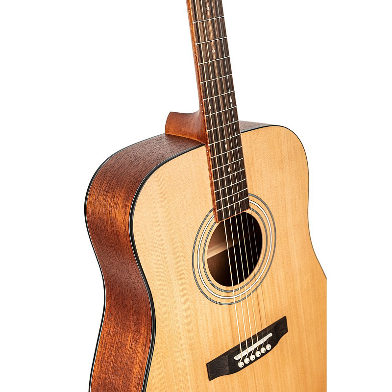 Акустическая гитара Omni D-260S в магазине Music-Hummer