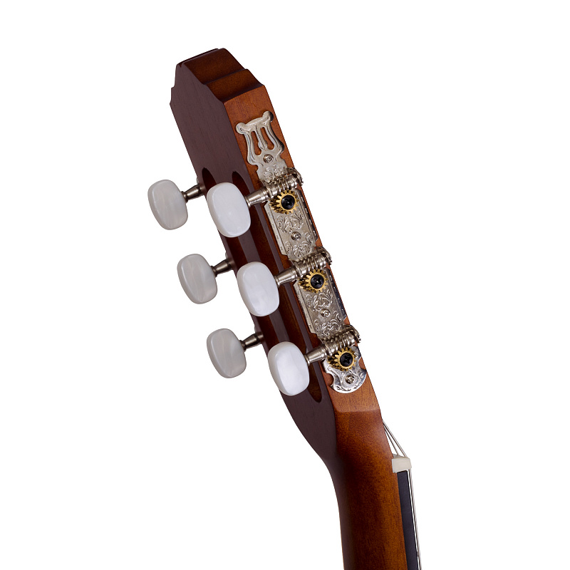 Классическая гитара ROCKDALE Classic C5 в магазине Music-Hummer