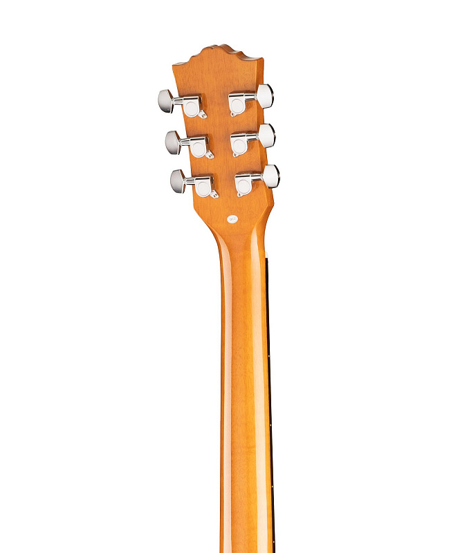 RA-G02C Акустическая гитара, с вырезом, Ramis в магазине Music-Hummer