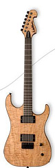 Washburn X81FETBR