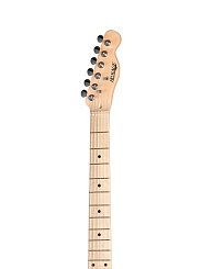 Электрогитара Homage Telecaster SS HEG350BK  