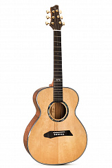 Акустическая гитара NG MINI 1