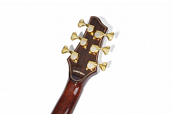 Акустическая гитара NG DM411SC BR