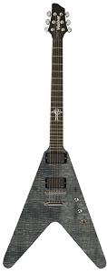 Фото Washburn WV66ANCK